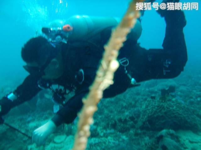出租屋改造怎么兼顾精简和美观？游戏画面